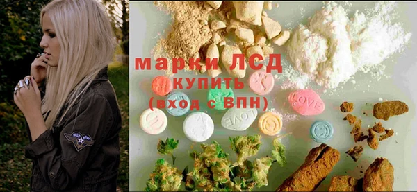 стаф Козельск
