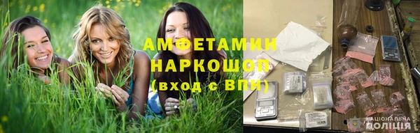стаф Бородино