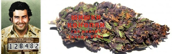 стаф Козельск