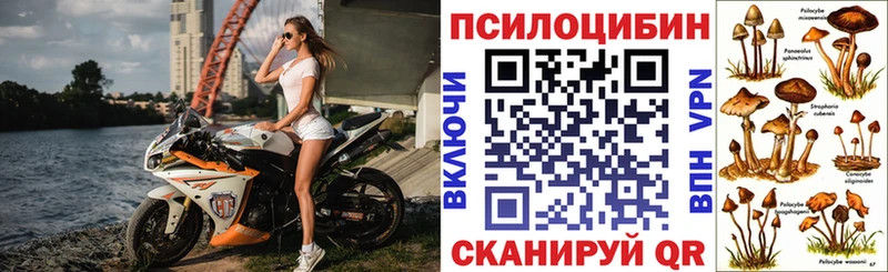 купить закладку  Тимашёвск  Псилоцибиновые грибы мицелий 